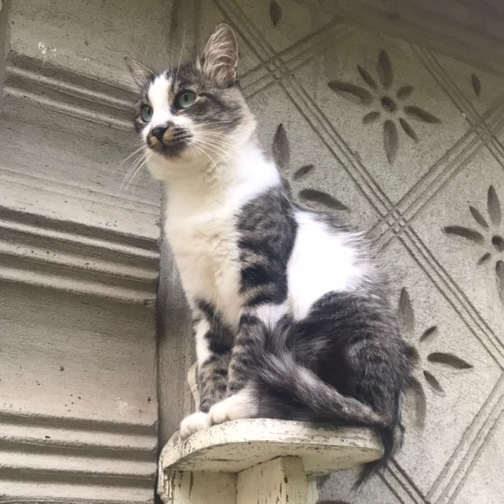 Meet your Posher, Mara